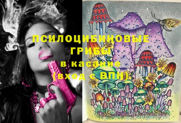 метадон Краснослободск