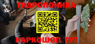 скорость Обь
