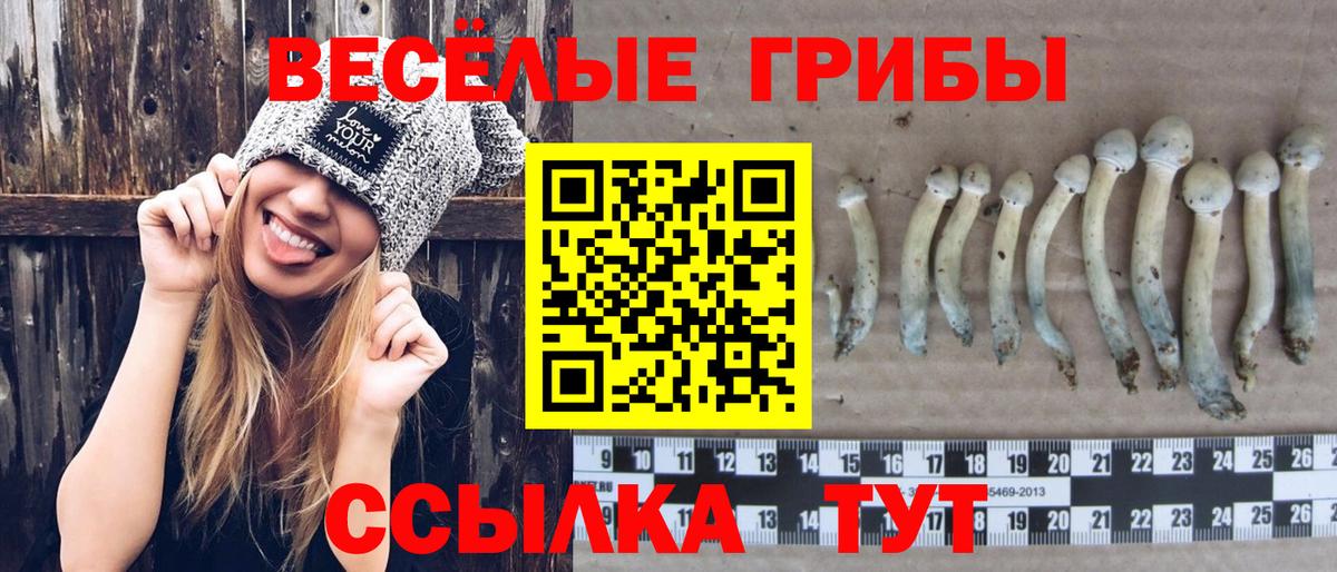 Псилоцибиновые грибы мухоморы  Вход с VPN  закладка  Псилоцибиновые грибы прущие грибы  Норильск 