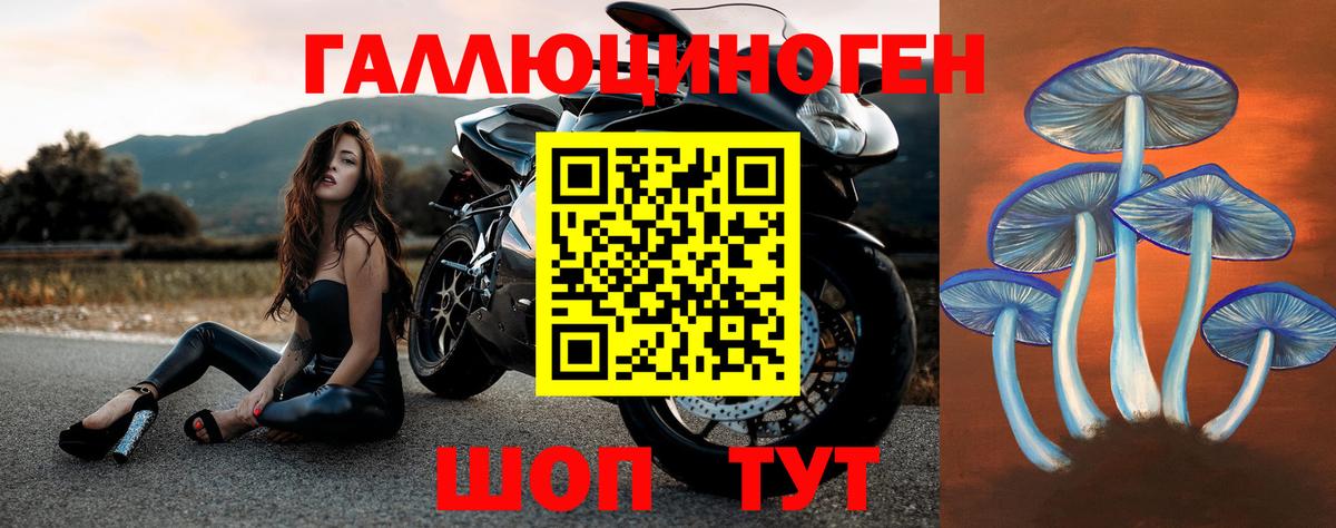 ЭКСТАЗИ Норильск