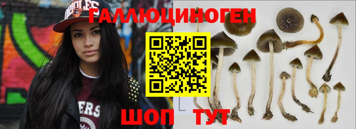 Галлюциногенные грибы мухоморы Норильск